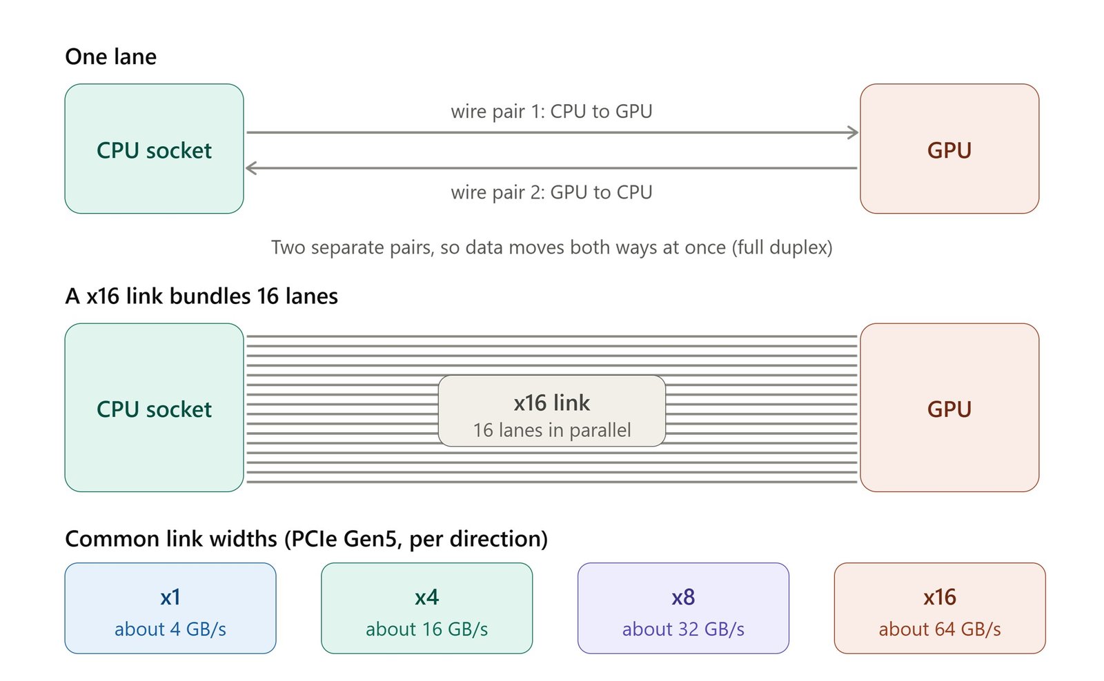 pcie_lane_anatomy_and_widths